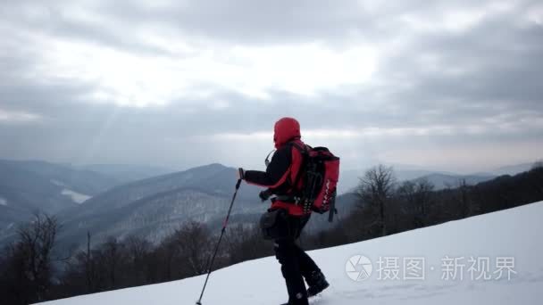 在冬季的狗在雪山徒步旅行视频