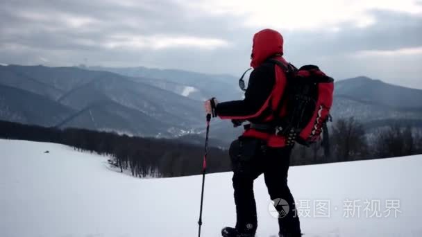 在冬季的狗在雪山徒步旅行视频