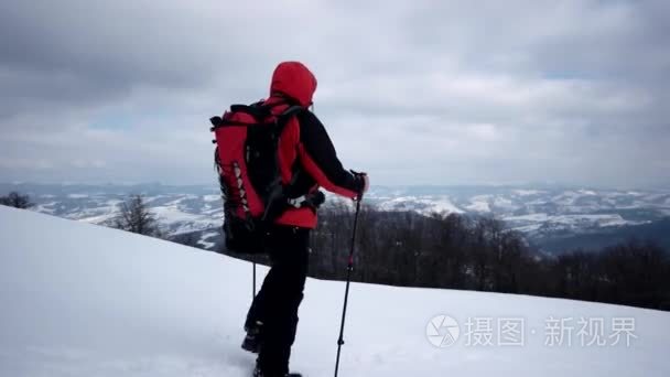 在冬季的狗在雪山徒步旅行视频