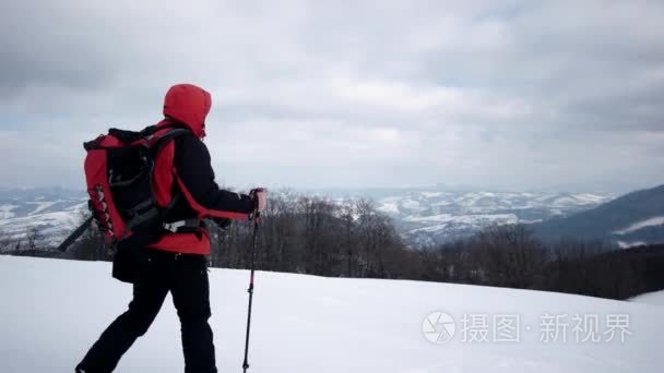 在冬季的狗在雪山徒步旅行视频