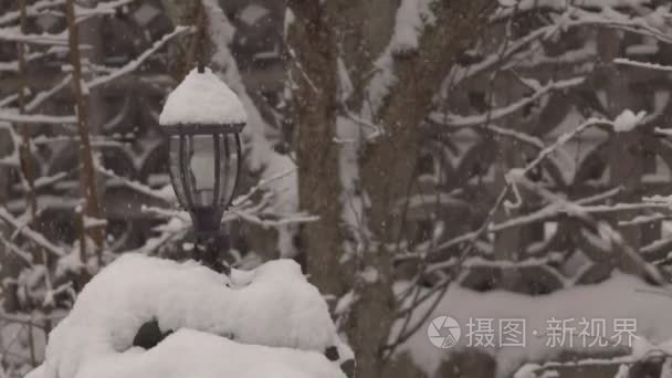 大雪会爱上在背景中的庭院灯视频