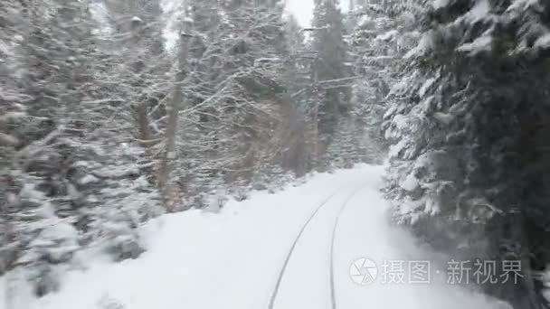 透过厚厚的雪密林旧火车上旅行视频