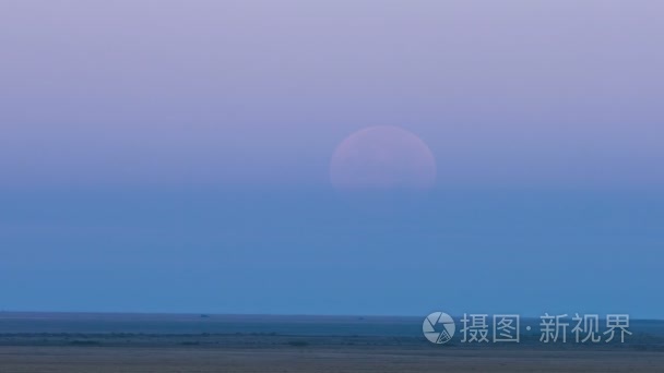 一个巨大的月亮。日落。平静的草原。两台起重机飞的。鸟飞反对日落背景环境或生态概念