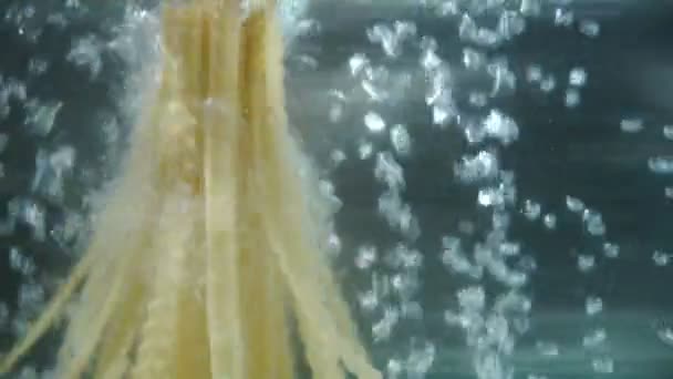 煮的面条 沸腾的水 起重流体泡泡 慢动作mov格式视频下载 正版视频编号013dqj 摄图新视界视频库 煮的面条 沸腾的水 起重流体泡泡 慢动作mov格式视频下载 正版视频编号013dqj 摄图新视界视频库