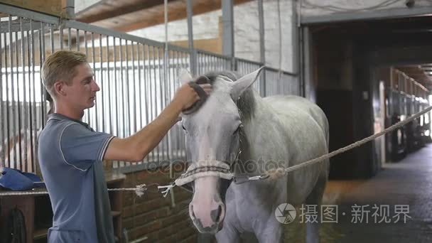 年轻的男孩擦拭在马厩里的马身体。男子清理一匹白马从灰尘和污垢，用画笔。关爱动物。骑马俱乐部。慢动作模式，慢动作，特写，关闭