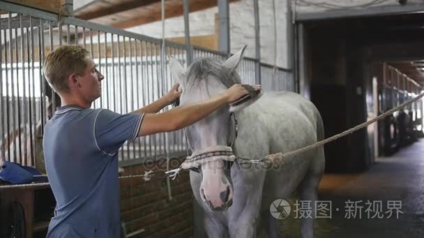 年轻的男孩擦拭在马厩里的马身体。男子清理一匹白马从灰尘和污垢，用画笔。关爱动物。骑马俱乐部。慢动作模式，慢动作，特写，关闭