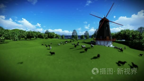 羊和风车在绿色的草原上视频