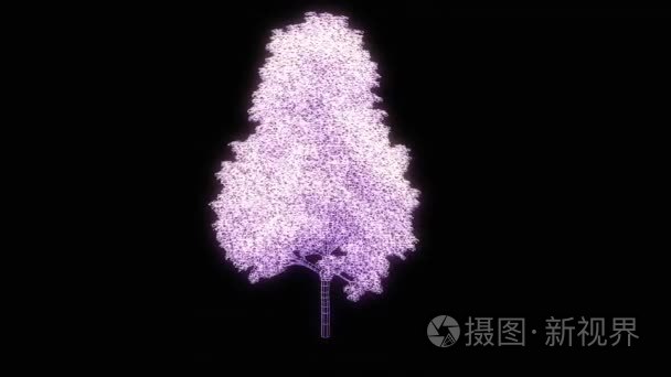 在线框全息图样式树植物。漂亮的 3d 渲染