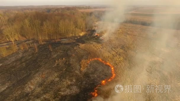 春天野火在干旱的天气视频