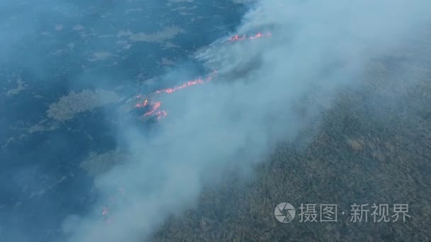 春天野火在干旱的天气视频