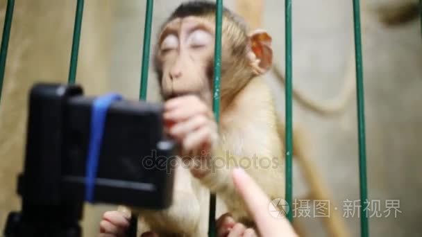 关在笼子里带走相机的猴子视频