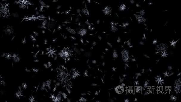 议案中漂浮雪粒子视频