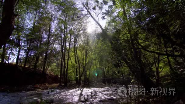 河流和树木的美丽场景视频