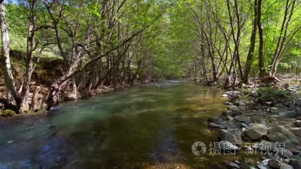 河流和树木的美丽场景视频