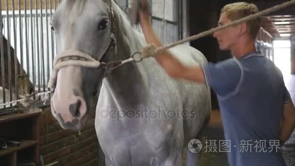 年轻的男孩擦拭在马厩里的马身体。男子清理一匹白马从灰尘和污垢，用画笔。关爱动物。骑马俱乐部。特写镜头，靠得很近
