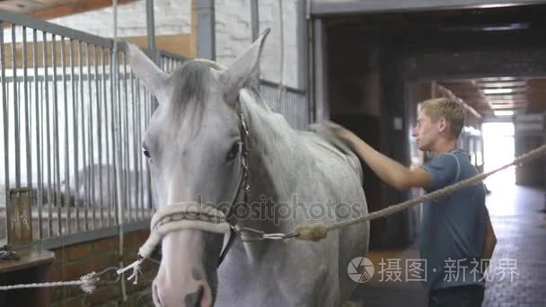 年轻的男孩擦拭在马厩里的马身体。男子清理一匹白马从灰尘和污垢，用画笔。关爱动物。骑马俱乐部。特写镜头，靠得很近