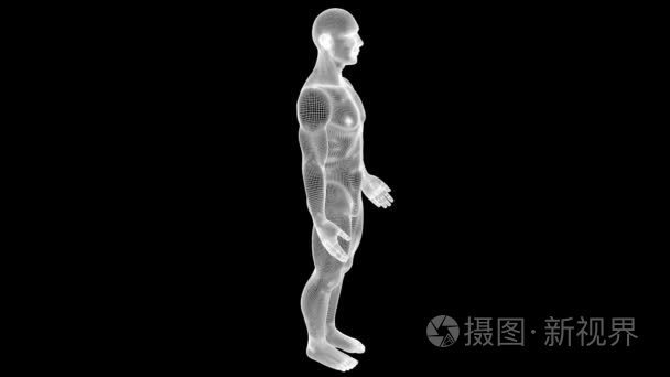 在运动中的线框人类全息图。漂亮的 3d 渲染