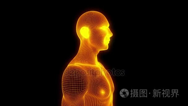 在运动中的线框人类全息图。漂亮的 3d 渲染