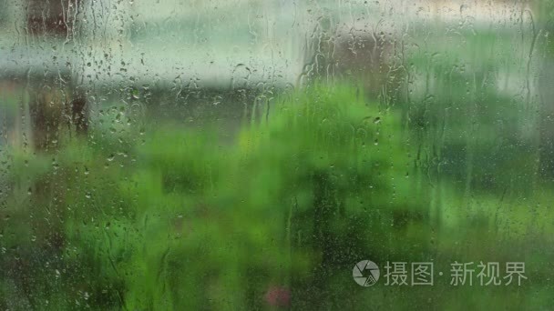 下一场大雨的热带树视频