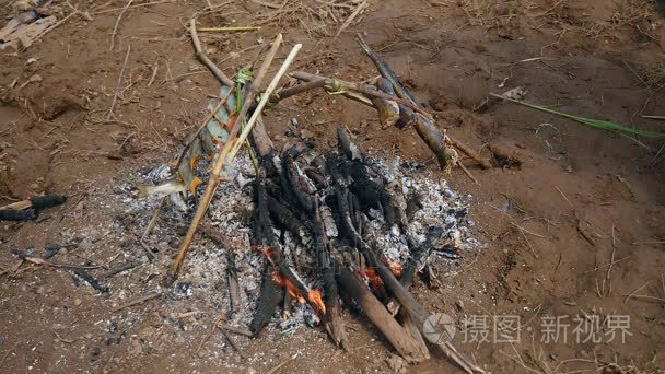 关闭一个女人看烤鱼在明火视频