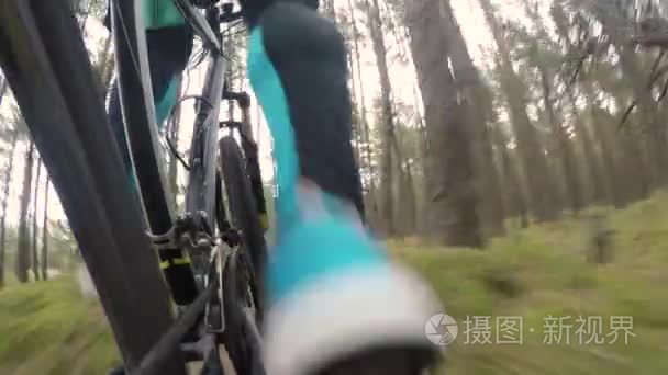 森林的小路上骑自行车的人骑山地自行车