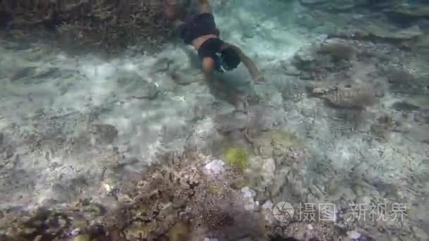 土著斐济人水下潜水和发现海参视频