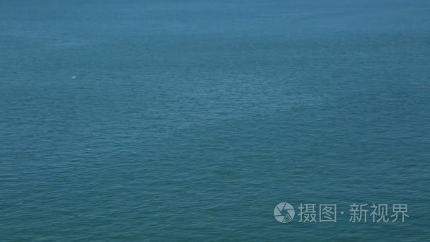 海豚跃出水面视频