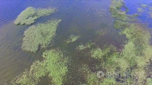 感观交换湖里的水视频