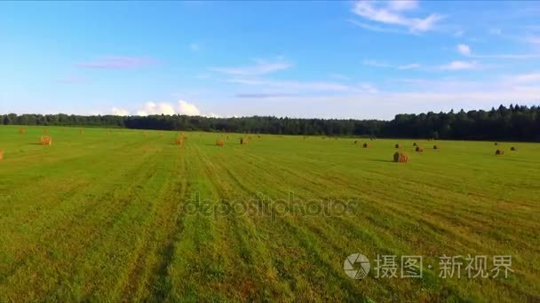 飞行结束了干草堆视频