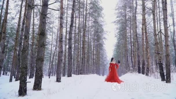 女孩和乌鸦冻结在森林里的雪下视频