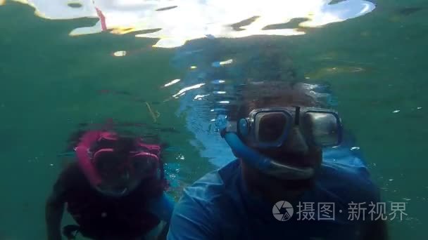 父亲和孩子在斐济的珊瑚礁浮潜视频