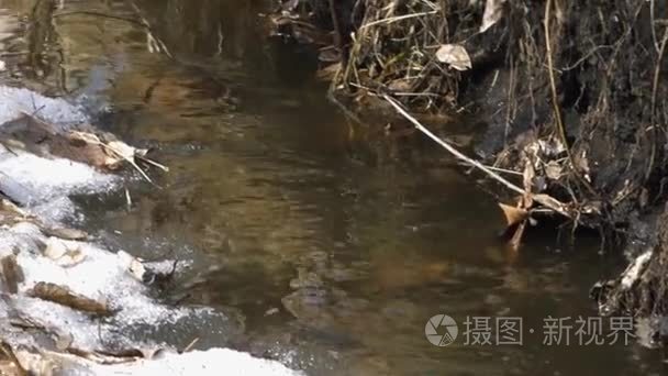 春河沿岸移动