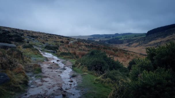崎岖的小路,在多风的荒原上短视频
