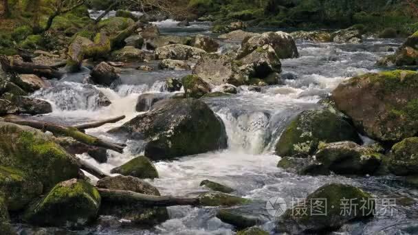 环状的拍摄的风景秀丽的河视频