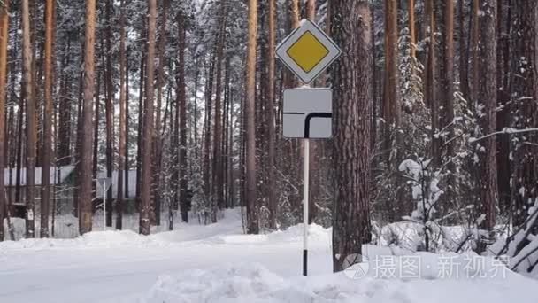 道路标志优先路在雪林视频