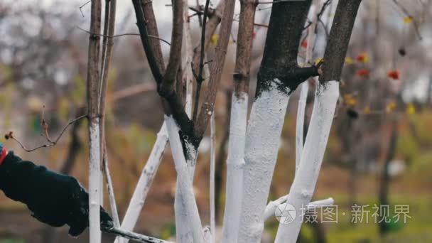 年轻美丽的女人在大自然中转向上帝，女孩祈祷时双手交叉在下巴，宗教观念