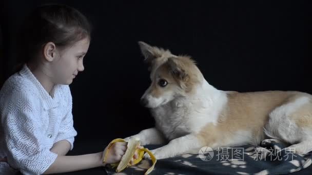 这个女孩提供狗一根香蕉视频