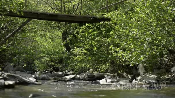 木桥下河流视频
