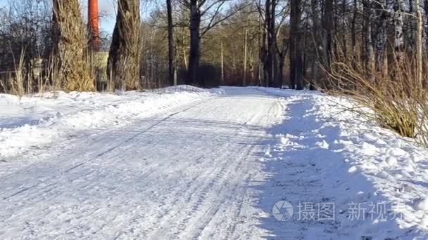 冬天卷积雪的路上穿过森林视频