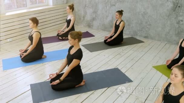 年轻貌美的女性锻炼瑜伽锻炼视频