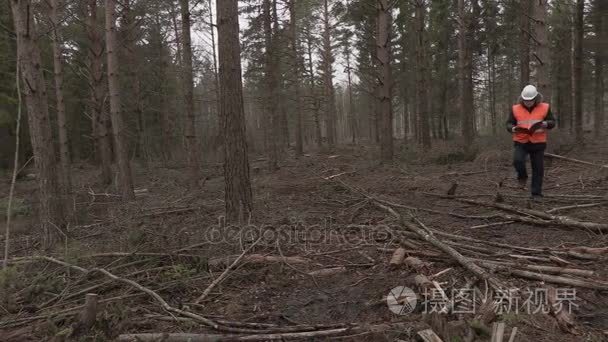 检查被毁坏的森林的伐木工人视频