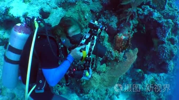 在一片珊瑚礁上水下摄影师视频