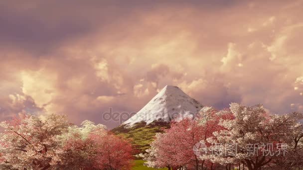 在日出或日落时的富士山和樱花开花