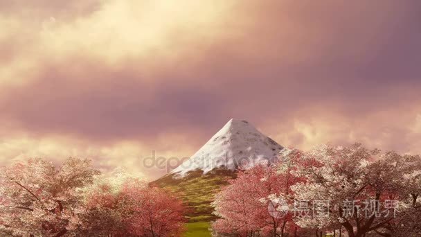 富士山和樱花盛开在日出或日落