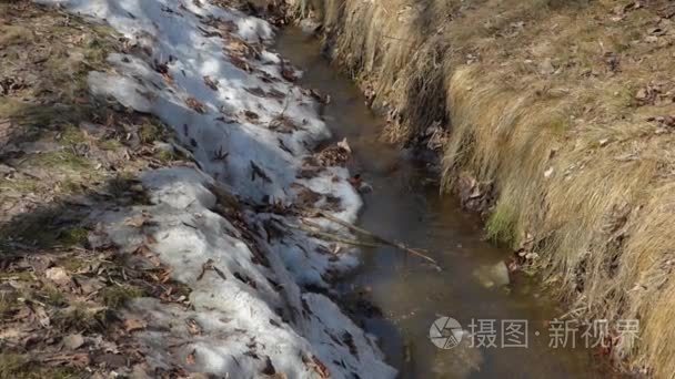 在公园里的小春天溪流