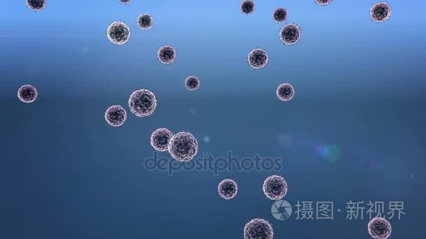 病毒细胞和淋巴细胞视频