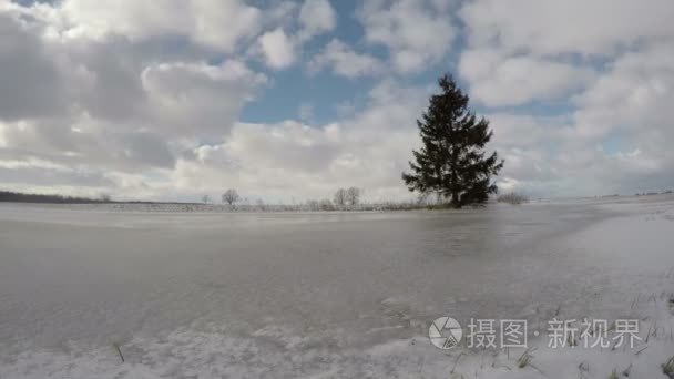 冬季景观与孤独枞树场和云运动，时间推移 4 k