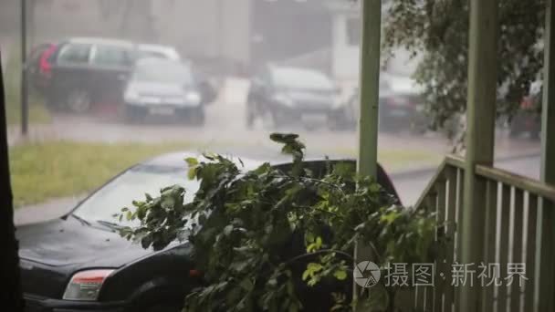 汽车、 树上、 地上和闪电声场瓢泼大雨