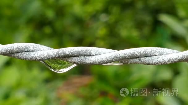 水滴从丝雨后的特写视频