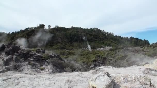 在新西兰的森林与天空地平线背景间歇泉温泉